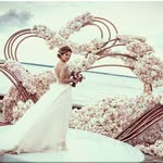 Donna Cornish - @donnacornish8539 - Instagram