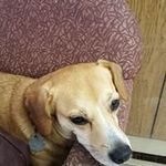 Donna Cornwell - @donna.cornwell - Instagram