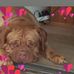 Donna Cornell - Facebook