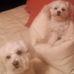 Donna Corwin - Facebook