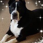 Donna Costner - @costnerdonna - Instagram