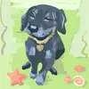 dinky - @donnacottle3 - TikTok