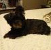 Donna Crisman - Facebook