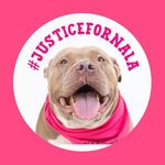 Donna Eckart Crisman - @hurricane_4donna - Instagram