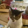 Donna Croce948 - @donnacroce948 - TikTok