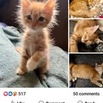 Donna Croce - @croce.donna - Instagram