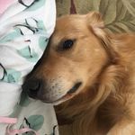 Donna Croce-Pavlick - @donnapavlick - Instagram