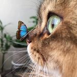 Donna Crossley - @crossley317 - Instagram