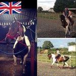 Donna💕 - @donna_crossley13 - Instagram
