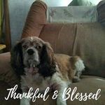 Donna Crum - @donna.crum3 - Instagram