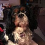 Donna Curl - @donna.curl.1238 - Instagram