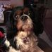 Donna Curl - Facebook