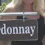 @donnacurley - Instagram