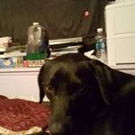 Donna Curry - @donna.curry.5477 - Instagram