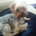 Donna Cuthbert - Facebook