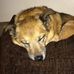 Donna Cuthbert - Facebook