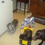 Donna Cyr - @dumontcyr - Instagram