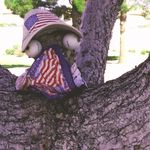Donna Cyr - @donna.cyr.568 - Instagram