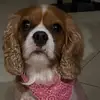 Donna Daisy - @donna.daisy8 - TikTok