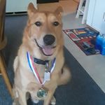 Donna Dalrymple - @donna.d1960 - Instagram