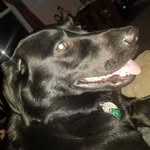 Donna Albert Danielson - @ducktastic111 - Instagram