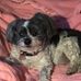 Donna Danielson - Facebook