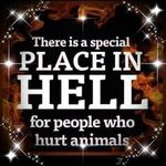 Donna Danielson-Ehlert - @danielsonehlert - Instagram