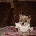 Donna Danner - Facebook