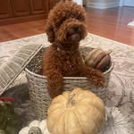 Donna Darlington Miller - @donna.miller180 - Instagram