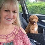 Donna DeBerry - @lucadoodleadventures - Instagram