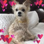 Donna Delk - Facebook