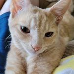 Donna Dellinger - @digdog39 - Instagram
