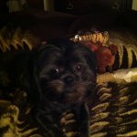 Donna Marie Dellinger - @dmdellinger - Instagram