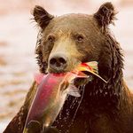 𝓛𝓪 𝓭𝓸𝓷𝓷𝓪 𝓭𝓮𝓵 𝓶𝓸𝓷𝓽𝓮 - @bloodybearny - Instagram