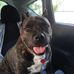 Donna DeLong - Facebook