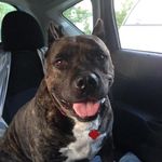 Donna DeLong - @dmdcrzybch - Instagram