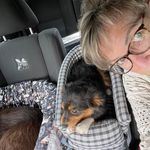 Donna Demarest - @hemigal04 - Instagram