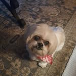 Donna Denis - @dustymae1998 - Instagram