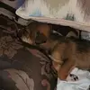 Donna Denise Sides - @donna.denise.side - TikTok