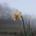 Donna Parker Denney - @theenglishmagpie - Instagram