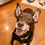 Donna DeSantis - @ddesantis1022 - Instagram