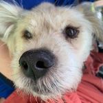 Donna DeSantis - @desantis4553 - Instagram