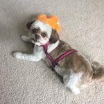 Donna deutsch - @donnadeutsch2323 - Instagram