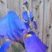 Donna Deutscher - Facebook
