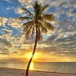 Donna DeVault - @donna_devault - Instagram