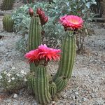 Donna May Toomey DeVore - @donna.may.315865 - Instagram