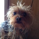 Donna Diehl - @diehl9528 - Instagram