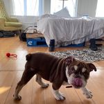 Donna Diehl - @diehl5015 - Instagram