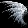 Donna Dilbeck746 - @donnadilbeck59 - TikTok