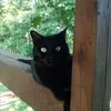 donnadillard6115 - @donnadillard6115 - TikTok